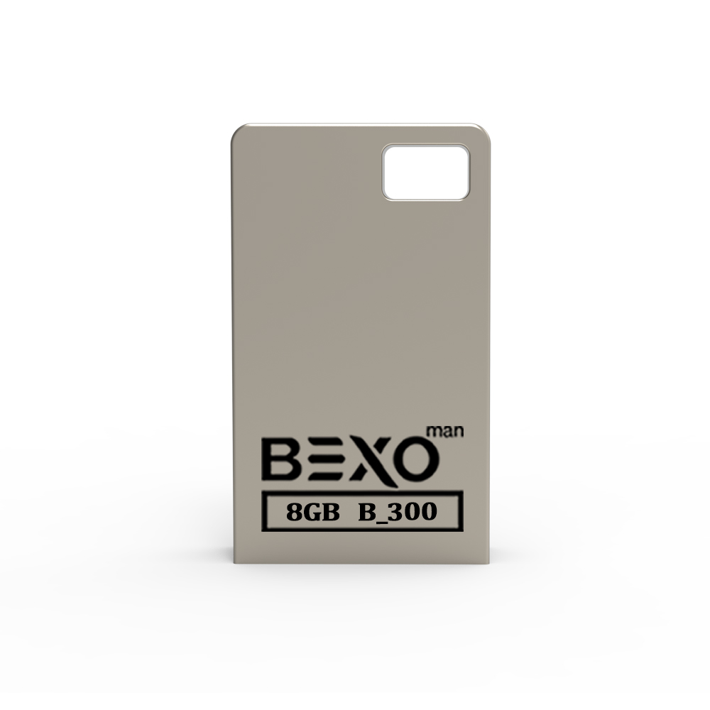 B-300   8GB